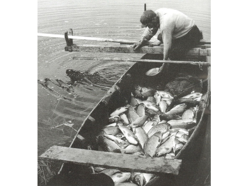 Η ψαριά της ημέρας, Λίμνη Κάρλα, 1953