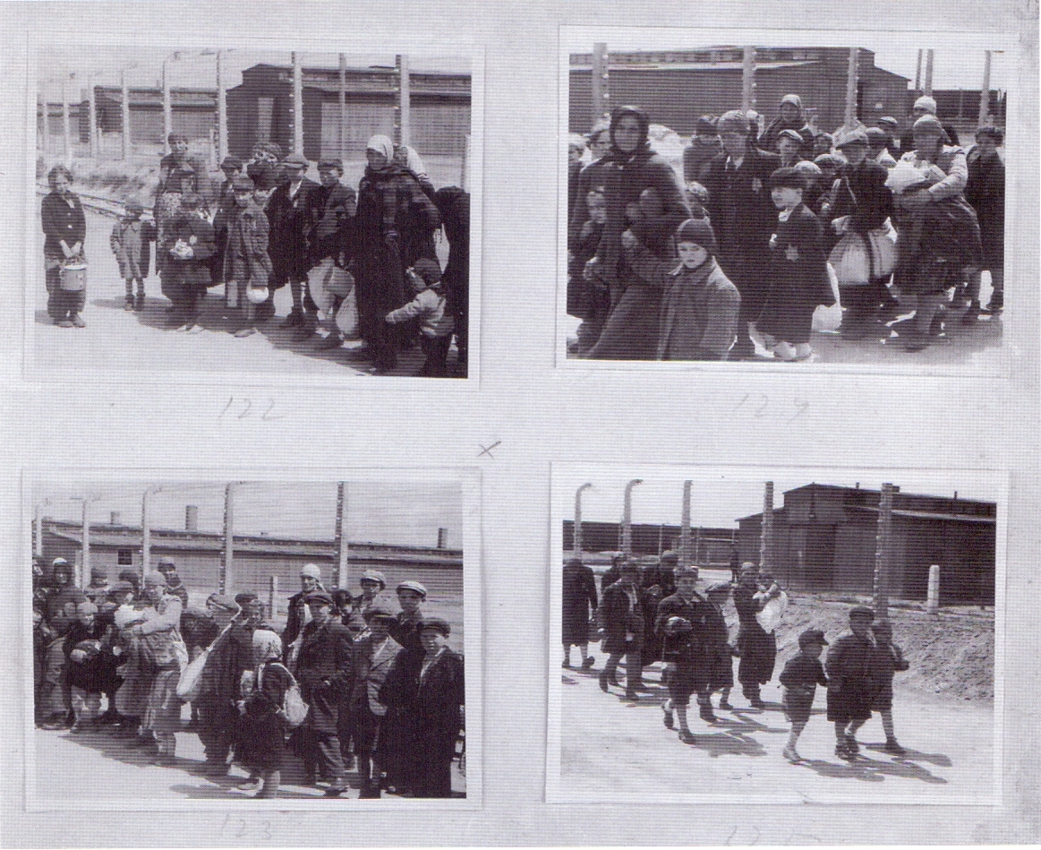Το άλμπουμ του Auschwitz. Αυτές οι φωτογραφίες από την άφιξη στο Auschwitz τον Μάιο του 1944 τραβήχτηκαν στα πλαίσια ενός ντοκιμαντέρ από τους άνδρες των SS Bernhard Waltre και Ernst Hoffmann. Βρίσκονται σε ένα φωτογραφικό άλμπουμ που βρήκε η Lilli Jacob στο Mittelbau-Dora αμέσως μετά την απελευθέρωση της. Η 18χορνη Lilli ήταν από το Bilke, μια περιοχή στα σύνορα Ουγγαρίας-Ουκρανίας. Όλοι οι Εβραίοι των φωτογραφιών βρίσκονταν στα γκέτο και μετά μεταφέρθηκαν στο Auschwitz. Η Lilli ήταν η μόνη που επέζησε από την μεγάλη οικογένεια της, η οποία οδηγήθηκε σύσσωμη στο Auschwitz με τα τραίνα της φωτογραφίας. Είχε σοκαριστεί, καθώς στις φωτογραφίες έβλεπε όχι μόνο τον εαυτό της αλλά και τα αδέρφια της και άλλους ανθρώπους από το Bilke.