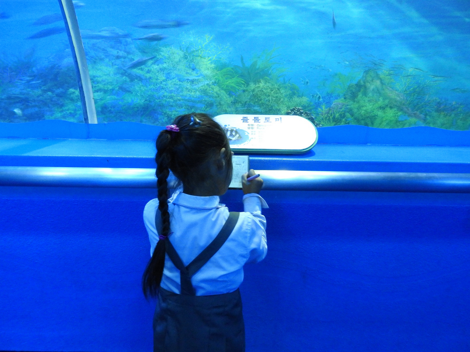 Μαθήτρια του δημοτικού, κατά τη διάρκεια επίσκεψης του σχολείου της στο ενυδρείο του Ζωολογικού Κήπου της Πιονγιάνγκ. 