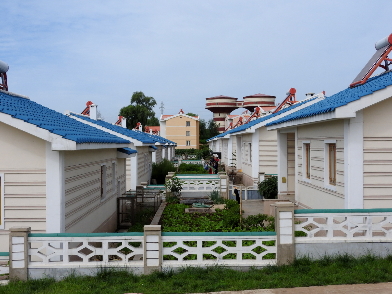 Μικροί κήποι στον αγροτικό συνεταιρισμό Jangchon. Τα σπίτια είναι πλήρως εξοπλισμένα, με ηλιακούς θερμοσίφωνες και φυσικό αέριο για τις συσκευές της κουζίνας.