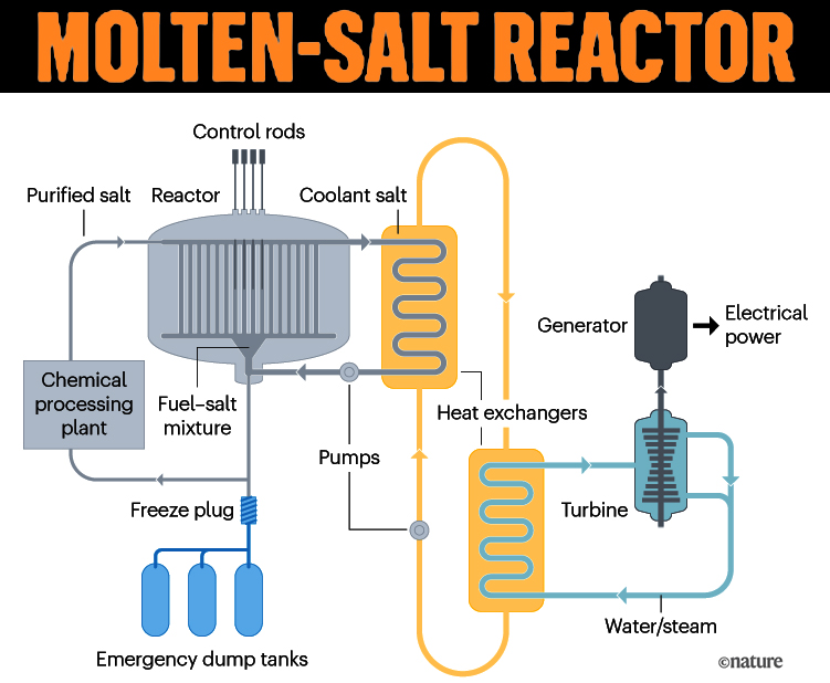 Salt Reactor China
