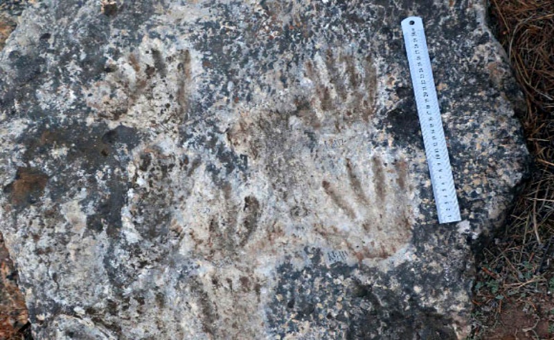 tibet fingerprints
